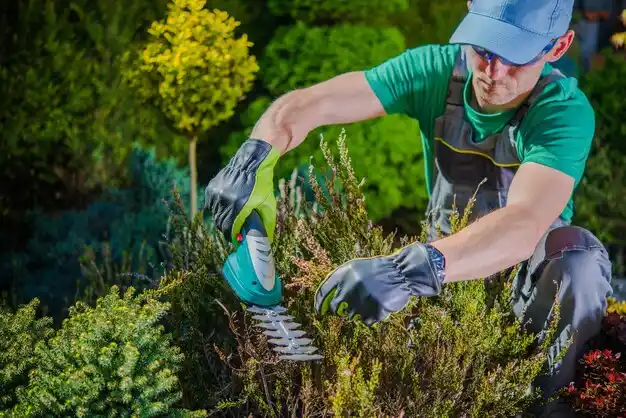 landscaping services Douglas